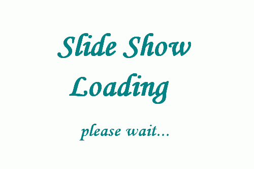 Slide Show